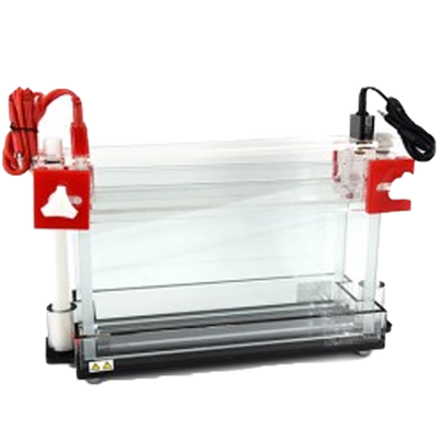 六一牌DNA序列分析电泳仪电泳槽