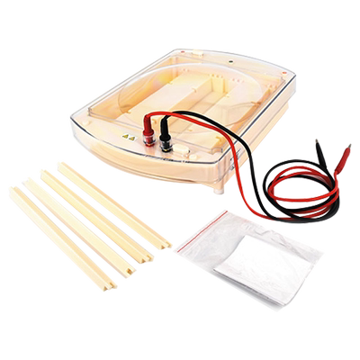 六一牌卧式水平电泳仪电泳槽