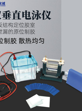 六一双垂直电泳仪DYCZ-25D实验室DNA蛋白凝胶DYCZ-25E垂直电泳槽