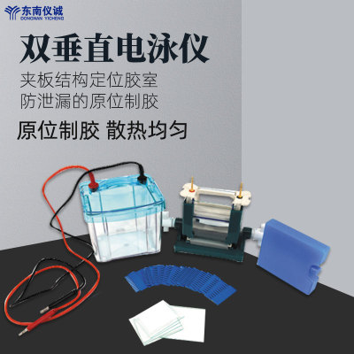 六一牌电泳仪双垂直电泳槽