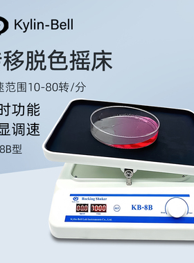 其林贝尔转移脱色摇床KB-8B实验室数显调速混合均匀振荡摇床