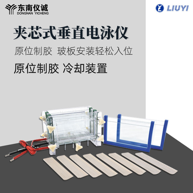 六一双板夹芯式垂直电泳仪DYCZ-30B实验室种子检测蛋白凝胶电泳槽