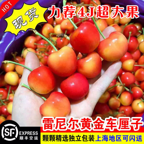 脆甜多汁雷尼尔黄车厘子智利樱桃