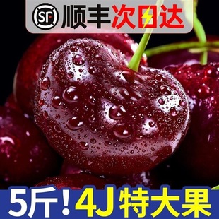 现货智利车厘子瑞吉娜或拉宾斯3J特大果新鲜水果大樱桃礼盒装顺丰