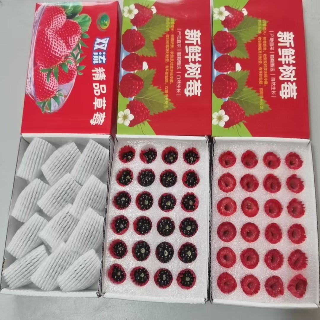 【高品质】新鲜黑树莓红树莓鲜果双拼新鲜甜品水果覆盆子顺丰包邮