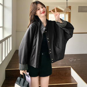 新款！现货 立领简约皮衣 C269P145K258图片