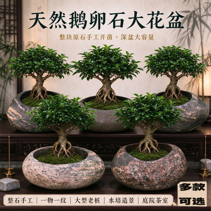 天然鹅卵石花盆鱼缸水培种植创意家庭院摆件盆景装饰大号石头花盆