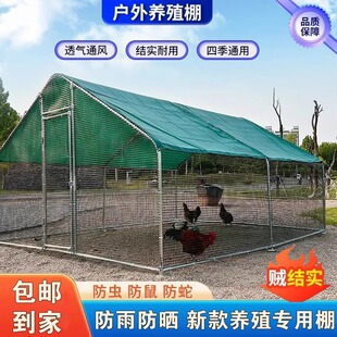 防雨养殖棚耐用鸽舍鸡笼 养鸡棚农村户外搭建鸡舍家用大号室外组装