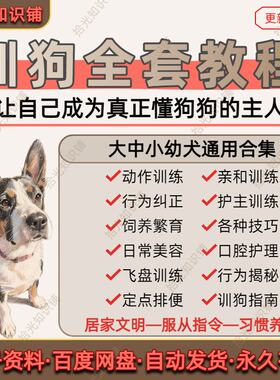 训狗全套教程动作训练行为纠正定点排便美容护理训犬指南视频课程