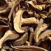 云南野生黑牛肝菌 精选级黑牛肝菌小黑桃 黑牛肝中味鲜干品