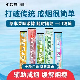 果味草本正品一次性无烟吸杆吸棒过滤薄荷便携式替代品爆款万能型