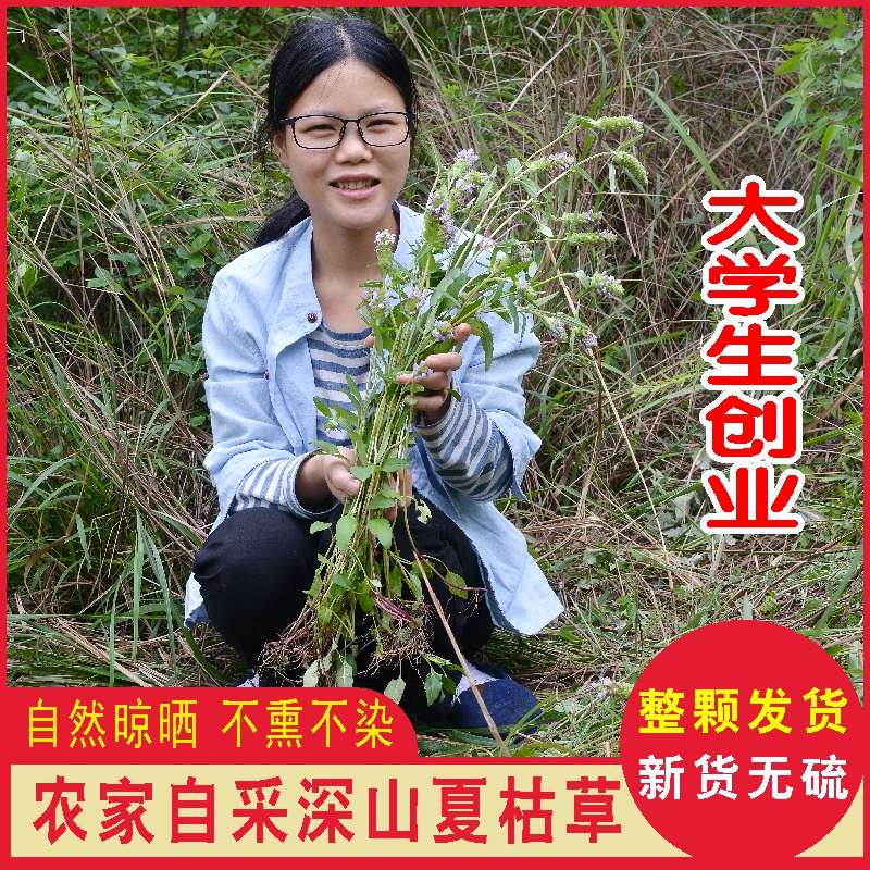 農家新曬夏枯草干夏枯草球夏姑草