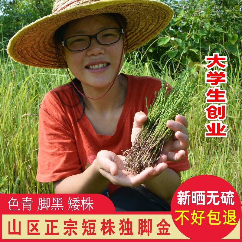 广东山区独脚金50g新鲜晒干疳积草黄花草农家自晒无硫整棵独角金