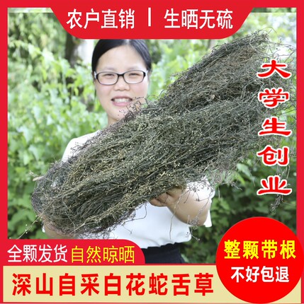 山里白花蛇舌草500g农家新鲜晒干百花蛇舌草乌骨舌蛇草另售半枝莲