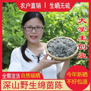 野采新鲜茵陈农家自晒茵陈500g白蒿三月绵茵陈茶整颗干货绵茵陈草