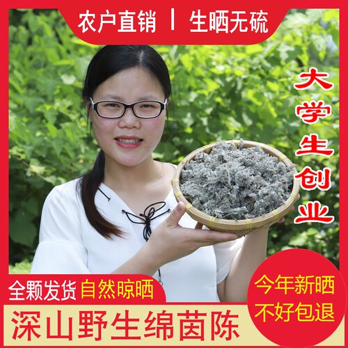 野生茵陈整颗干货白蒿三月绵茵陈