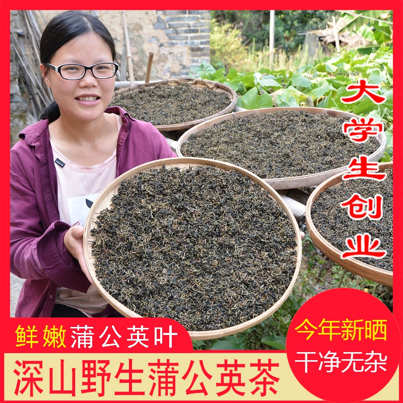 野生蒲公英茶500g浦公英婆婆丁农家新鲜晒干蒲公英叶蒲公英干泡茶