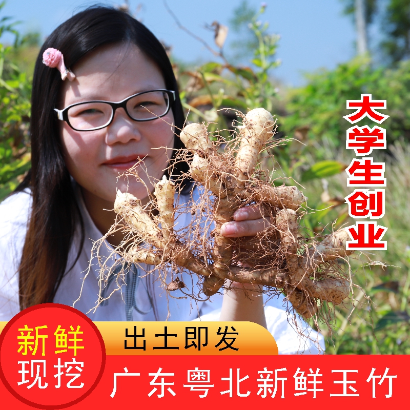 广东新鲜玉竹条尾参农家现挖500g高山玉竹头搭配麦冬沙参泡茶煲汤