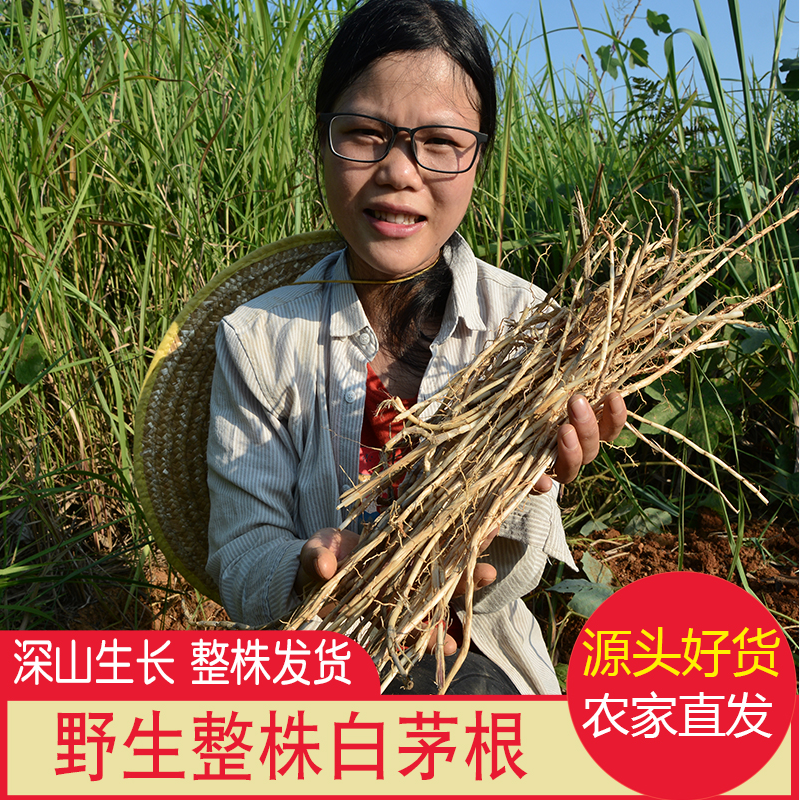 野生白茅根干500g农家晾晒茅根毛根新货甜草根茅草根搭配竹蔗马蹄