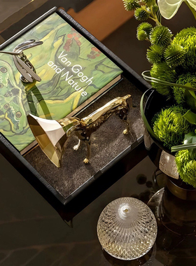 现代简约样板间客厅茶几桌面软装