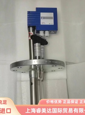 NRG 16-39S 2x NRG 16-11 1x NRGT 26-1 DN150 GESTRA 水平电极