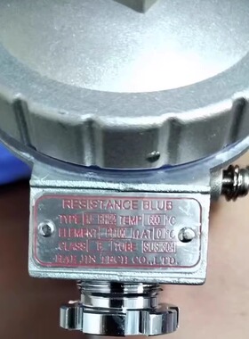HJ-RH22 pT100 600℃ L200 RESISTANCE BLUB 排温传感器