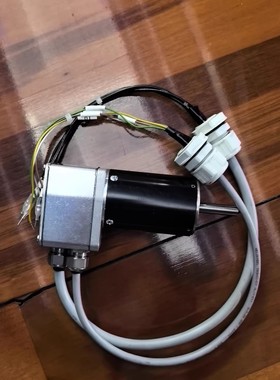 381741 SUNFLAME 转杯马达