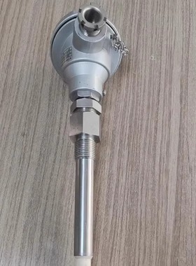 test温度传感器 K型 CLASS2 PT-0  SER.NO 277085  探杆250mm