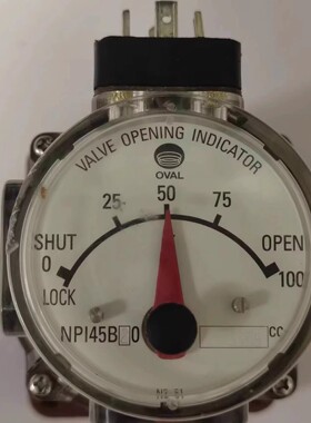 NPI45B20 365CC OVAL 现货