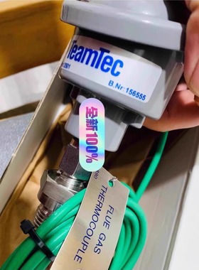 Teamtec 热电偶 6429 156555 W1C-38 带烟气变送器