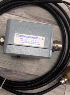 KEUMYANG CYLINDER P.C.O ELS-3000 流量监测温度传感器
