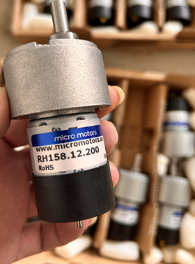 MICRO MOTORS 直流电机 RH158.12.200