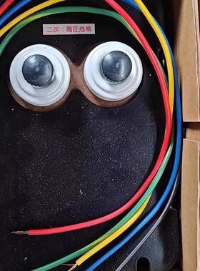 LECIP G10M23-ZC (5075) 燃烧器变压器