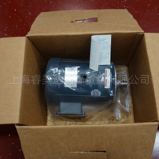 LEESON利森电机 C6T17DK14B 美国原装