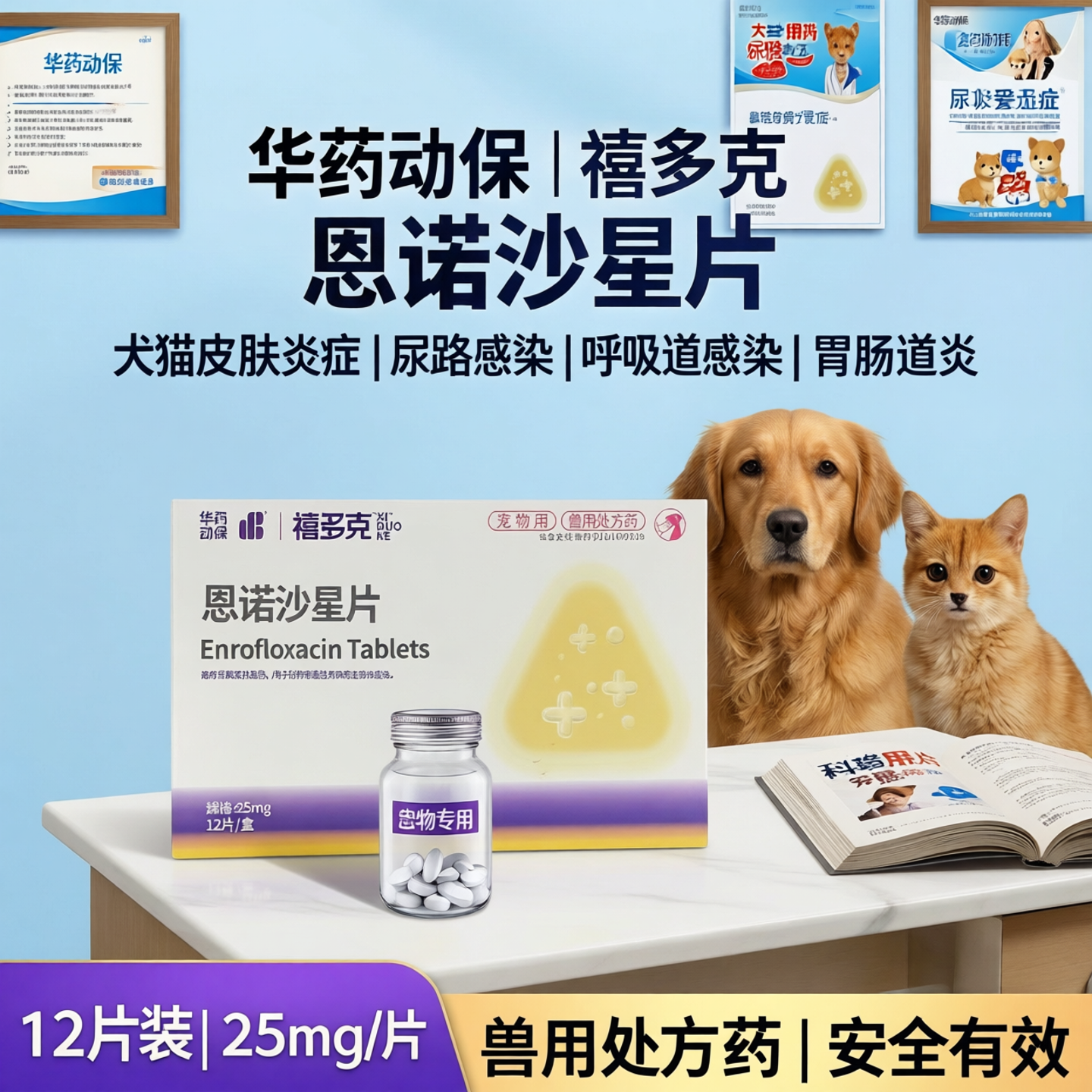 禧多克恩诺沙星片犬猫皮肤炎症狗尿路感染呼吸道感染胃肠道炎12片