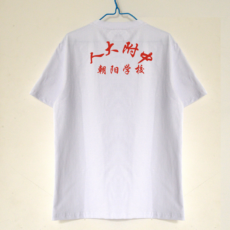 夏季人大附中朝阳学校校服圆领短袖背心T恤纯棉速干薄款