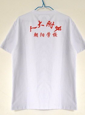 夏季人大附中朝阳学校校服圆领短袖背心T恤纯棉速干薄款