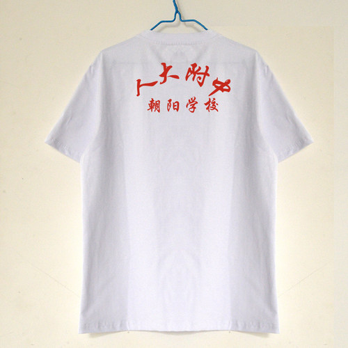 夏季人大附中朝阳学校校服圆领短袖背心T恤纯棉速干薄款