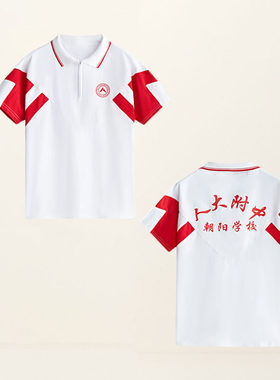 夏季人大附中朝阳学校校服长袖短袖T恤薄款夏季长裤七分裤五分裤