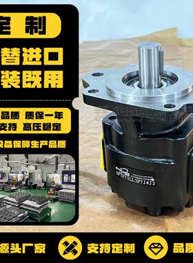 HENGYUHANG铸铁齿轮泵6PTF定制替代CASAPPA PARKER PERMCOP液压泵