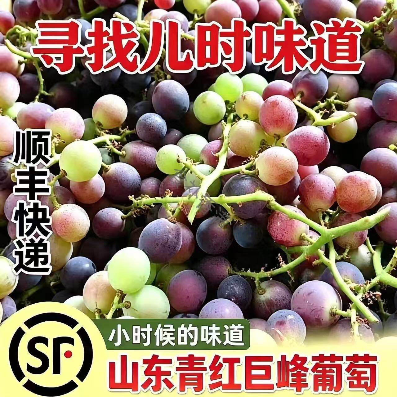 巨峰葡萄新鲜水果青红葡萄提子酸葡萄/提子