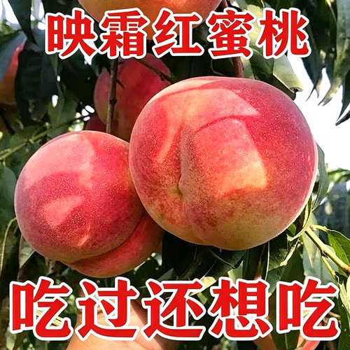 桃子新鲜水蜜桃金秋红蜜桃子映霜红毛桃子新鲜水果脆甜桃整箱批发