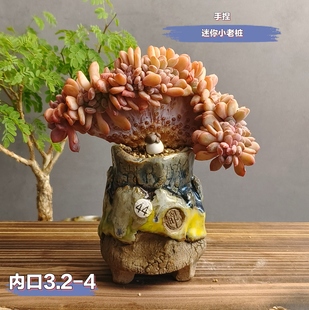 景德镇手工多肉花盆坛子姐山石多肉花盆老桩拇指粗陶透水透气异形