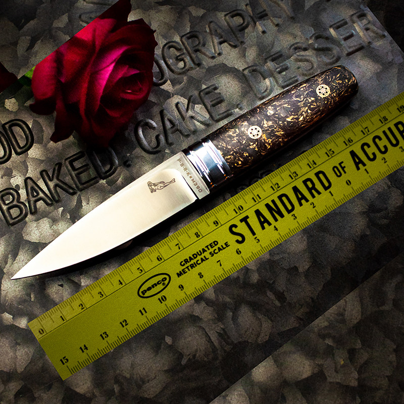 奥地利m390粉末钢进口高硬度户外锋利手把肉小刀家用多功能水果刀