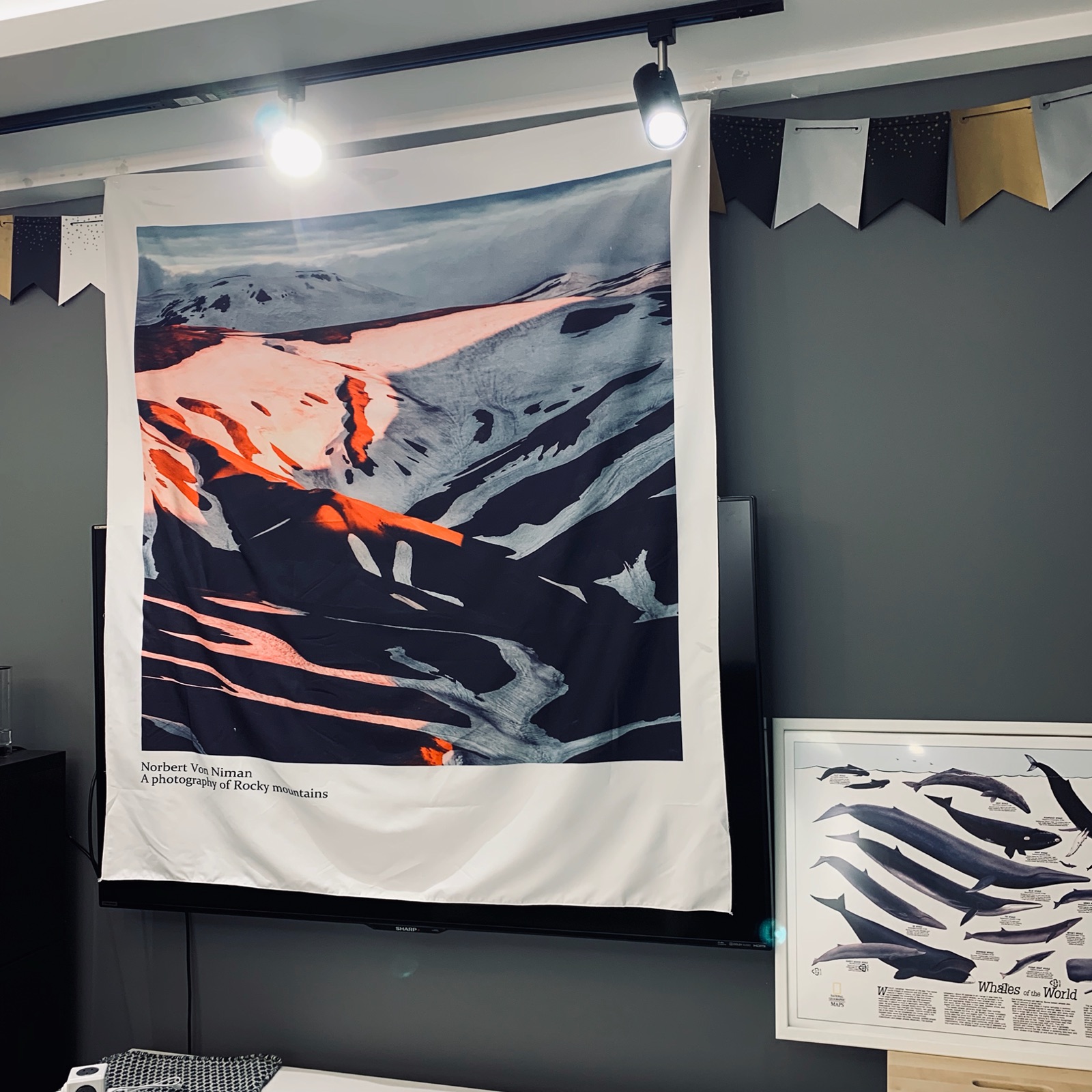 北欧雪山挂布客厅背景ins卧室宿舍布置文艺韩国拍照挂毯落基山脉在类目 居家布艺, 挂毯/壁毯中 - 来自Buy2taobao.com提供专业的淘宝代购服务