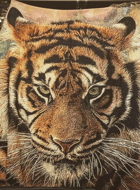 床毯虎头毯子艺术沙发毛毯 挂毯属虎礼物 后备箱汽车纹身店服装店