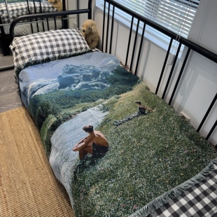 治愈系挂毯卧室布置毯沙发毯 瑞士阿尔卑斯山少年氛围感Mood