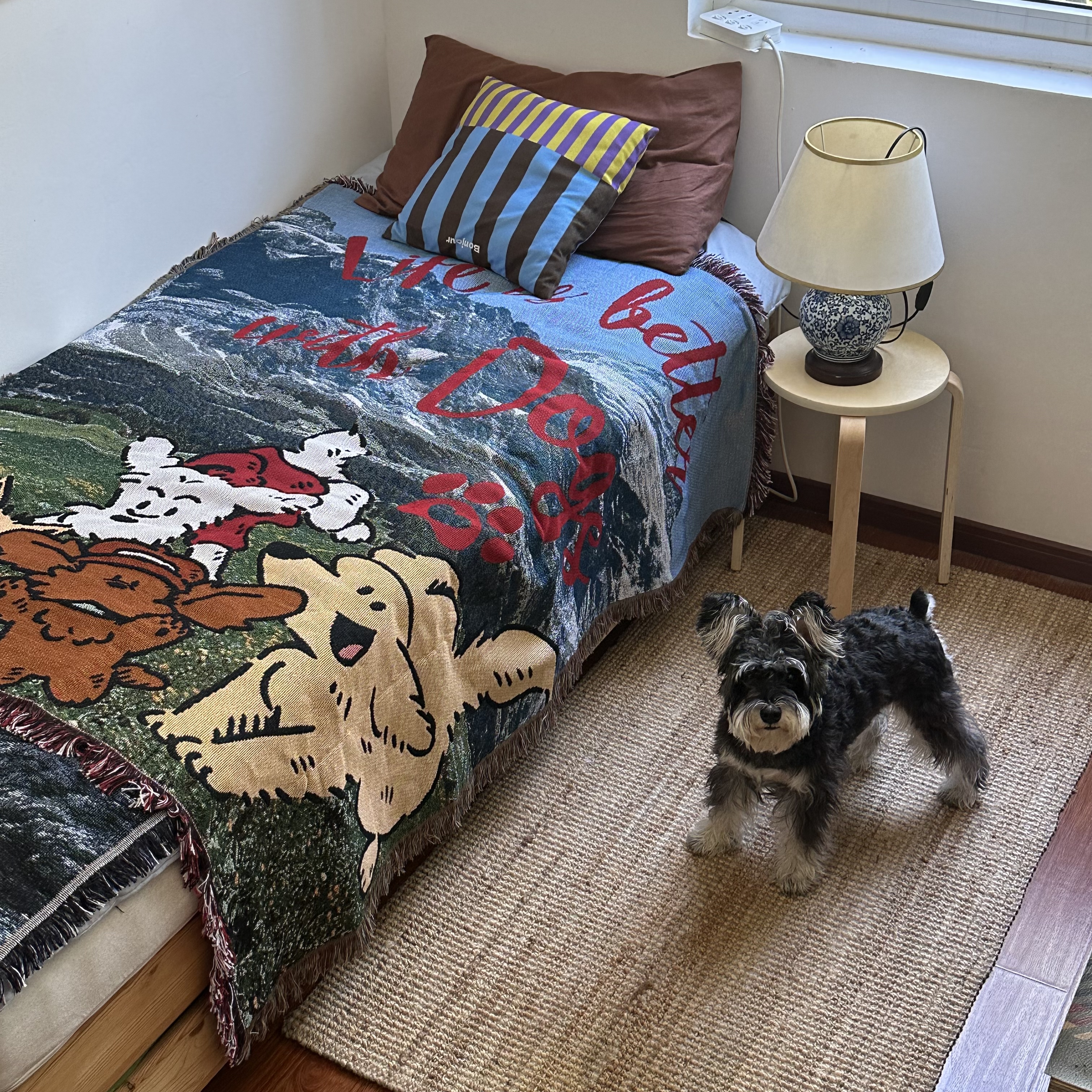 Life is better with dogs 氛围感韩国ins博主卧室布置毯子盖毯