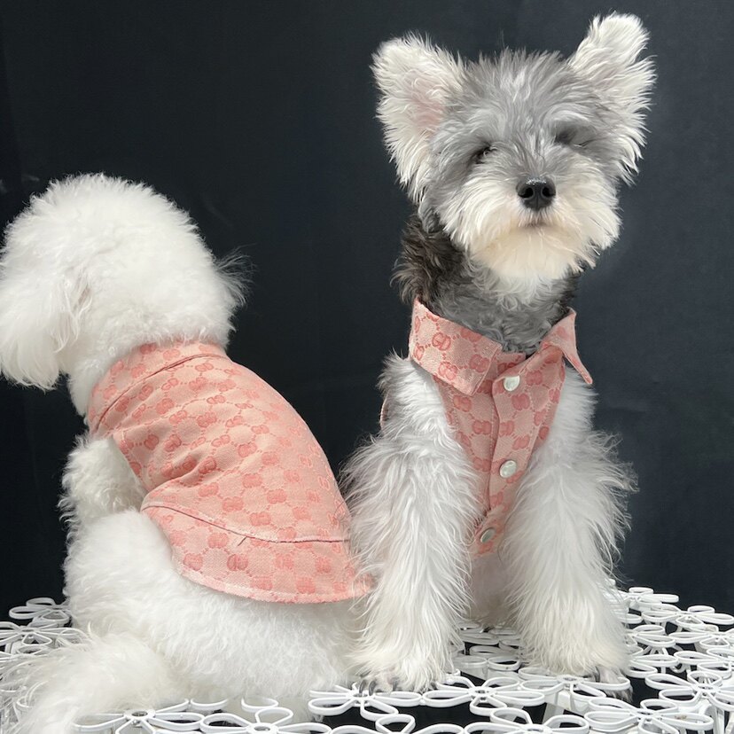 thumbnail for Trendy brand pet clothes autumn puppy denim vest teddy bichon corgi schnauzer large dog golden retriever cat