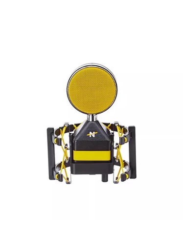 Аккуратная царя пчела королева пчела большая диафрагма конденсатор микрофон живой звукозапись